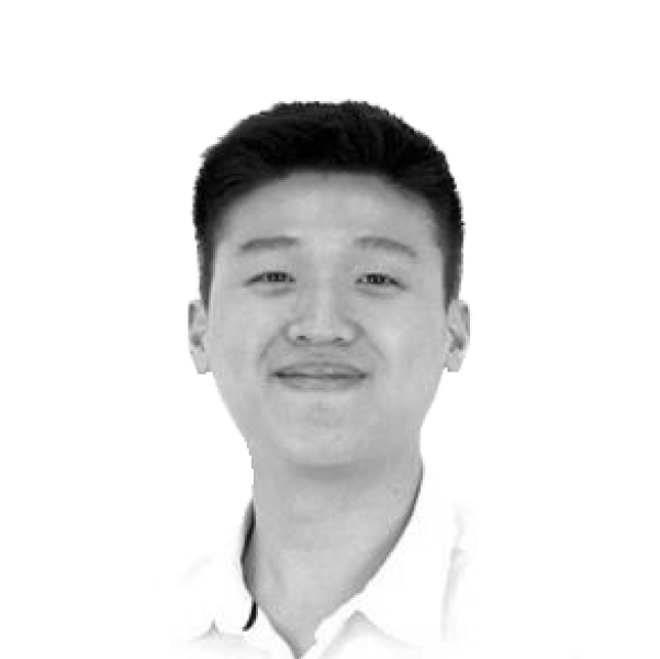 VINCENT - Software Engineer